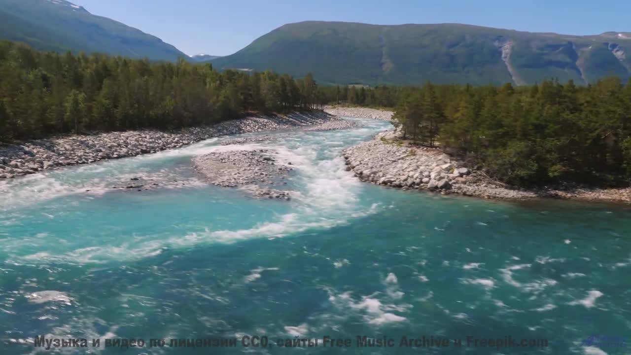 Поля танцуют, когда включается такой саунд - Dream I was in Canada (ID 739) -- Lobo Loco -- DREAM OF