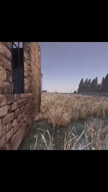Граната - твоя верная подруга в Dayz #dayz  #maclaychik #дейз #dayznam