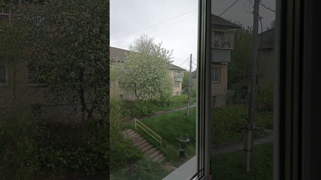 с праздником