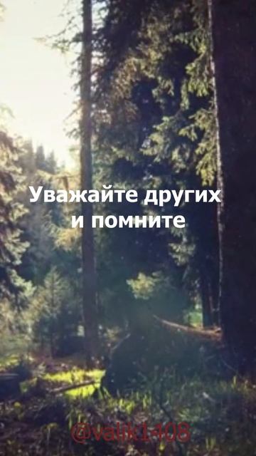 Цитаты 40