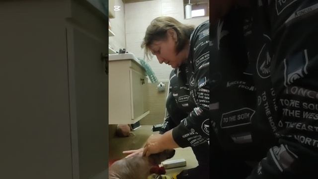Искупала щенков, помазала мазью, одела распашонки