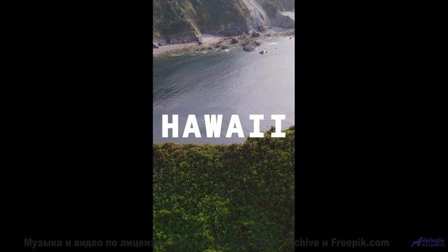 Почему рыбы в аквариуме сходят с ума от этой мелодии - Acorns -- Les Hayden -- Home