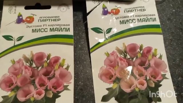 Чудесная карликовая эустома🌺