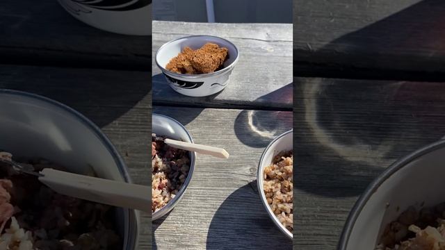 09-05-2025 # 🇷🇺С ДНЁМ ПОБЕДЫ! 🕊️🕊️🕊️