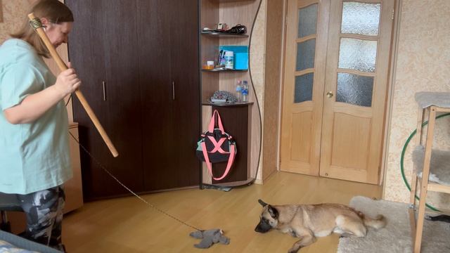 Игра. Начало. 03.04.2024.