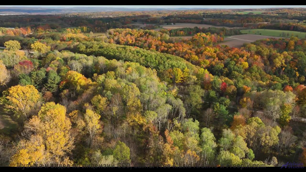 Ощущение полёта длится столько, сколько звучит трек - Stages Of Awakening -- Podington Bear -- Said