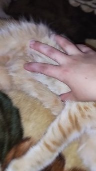 #мем #прикол