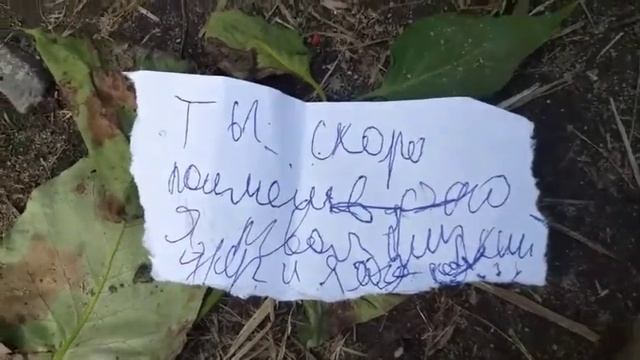 МИСТИКА/1 серия/КВЕСТ НАЧАЛСЯ?/ЧТО МЕНЯ ПУГАЕТ?/НАСТЯ МИСТИКА