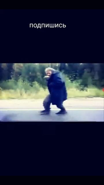 Самое лучшая песня 2015 года 8 800 55 35 35
