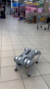 Смешное видео робот собака просит еду #robots #dogs #robodog #со?