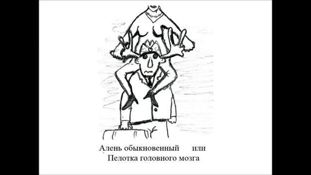 Новосёлов "Женщина. Учебник для мужчин". Глава 10 ПРОБНИК озвучки