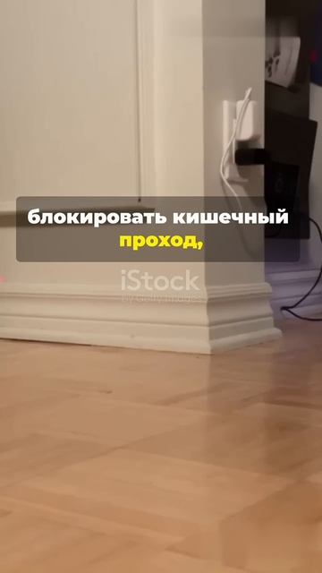 Съел инородное тело, будь в курсе. #собака #котики #дома