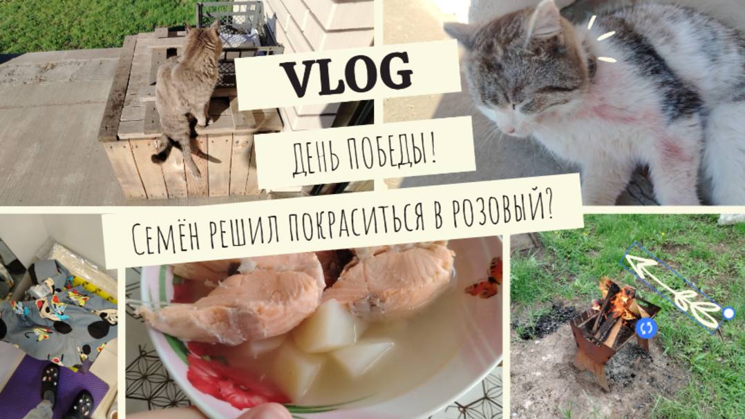 VLOG ДЕНЬ ПОБЕДЫ!🎖️ Семён решил покраситься в розовый?🐽