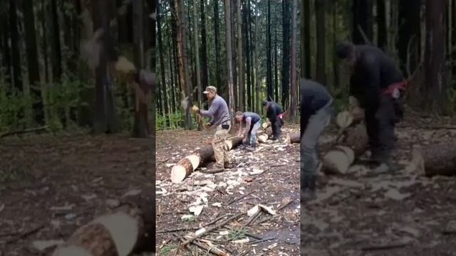 ПОРУБАС # 41 02.05.25 МИТИНО (ИННА, ФЕДОР, АЛЕКСАНДР, АЛЕКСЕЙ, АЛЕКСАНДР, ИЛЬДАР)