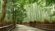 Музыка заставит сердце биться чаще здесь - In The Hall Of The Ye-Ye King (Agatlebauer) -- Les Sans C