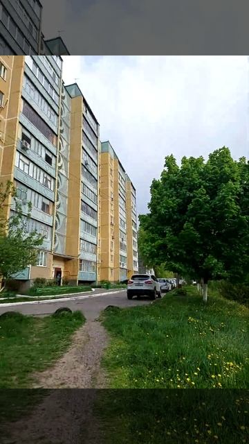 Береза откликается ...#весна #красота_от_природы