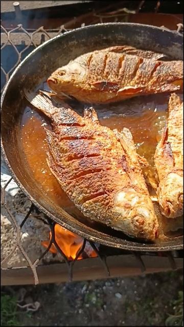 Наш улов 🐟