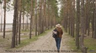 Музыка, которая превращает лес в ваше личное убежище! - 20 Minute Meditation 6 -- HoliznaCC0 -- Spac