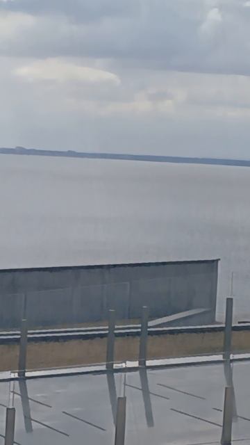 финский залив