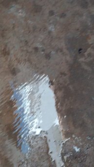 родник