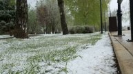 Сергиев Посад, 8 мая 2024г Погодка шепчет.