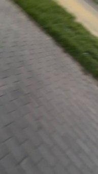 Бродячие собаки за Хан Шатыром начали нападать на люд?