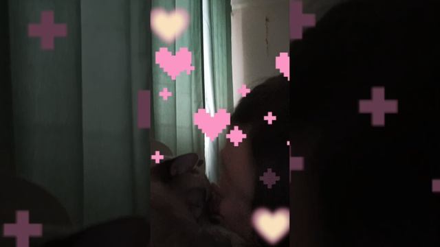 Сима😻💋👑🩷❤️🩹❤️🔥