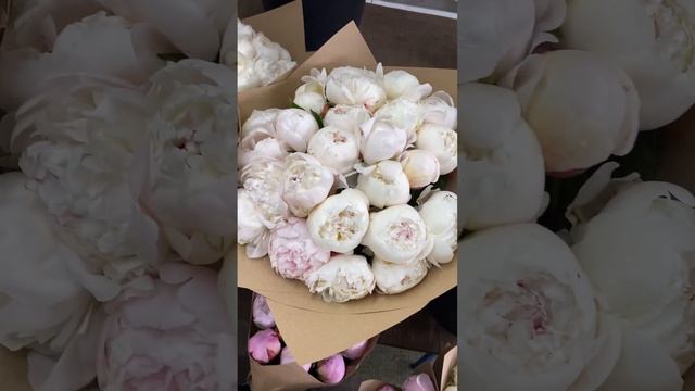 Срезка 5 июня