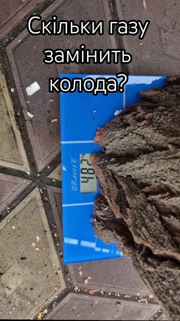 Скільки газу замінить колода акації. #котел #дрова #ака