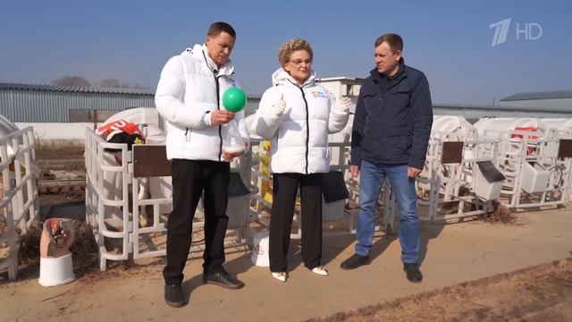 Что такое паховая грыжа и как её лечить в современных ?