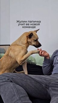 Новая команда