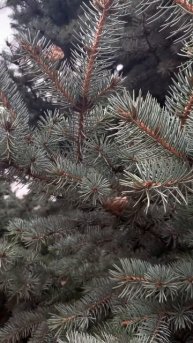 Нас побеждают не наши враги, а наши страхи. #esetim#мысли#ш