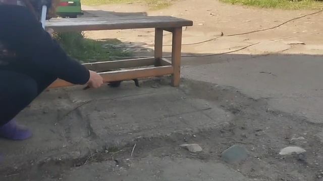1000029233.mp4