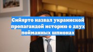 Сийярто назвал украинской пропагандой историю о двух пойманных шпионах