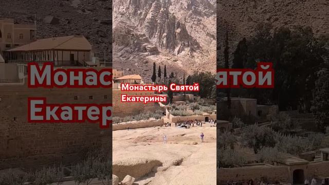 экскурсии в Египте. Шарм эль Шейх #море #египет #отдых #?
