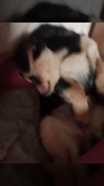 1000049520.mp4
