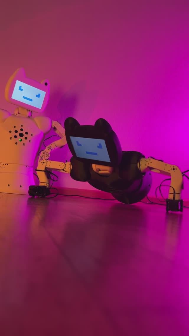 Робот Chatty компании CRAZYBOTS  занимается спортом
