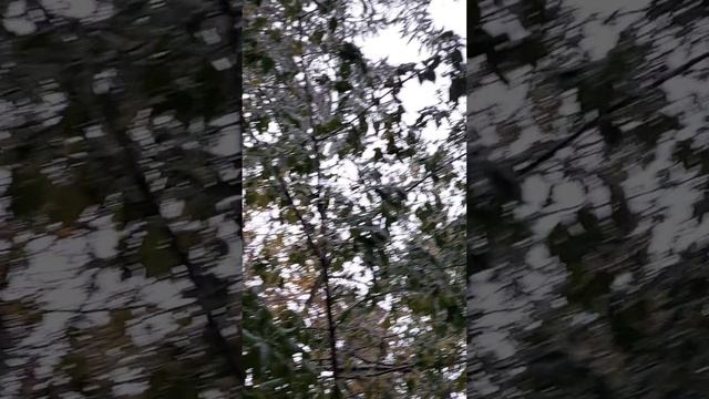 ну и погодка!