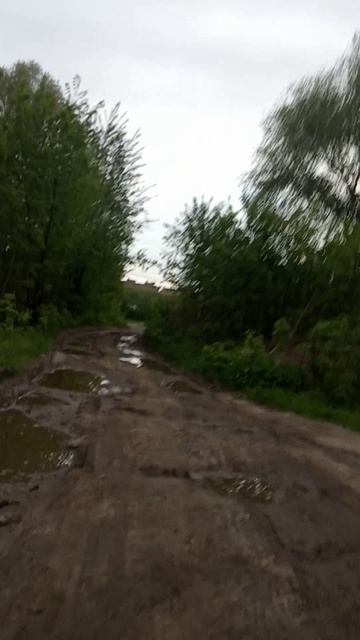 по кочкам