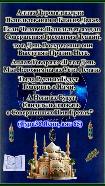 Все Части Тела Человека, Является Аманатом.