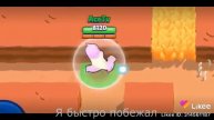Песня про ель примо