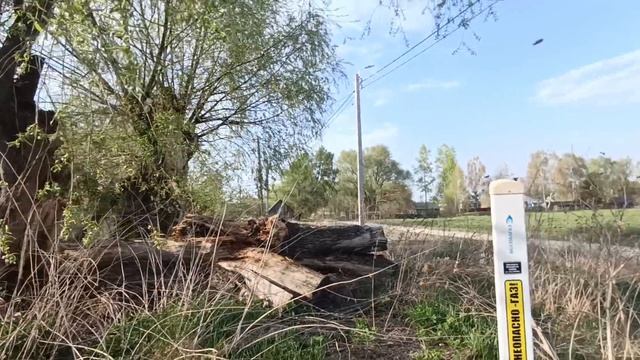 1000070149.mp4