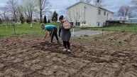 СЕЛЬЧАНКА В АМЕРИКЕ. МЫ В АМЕРИКЕ САЖАЕМ КАРТОШКУ.