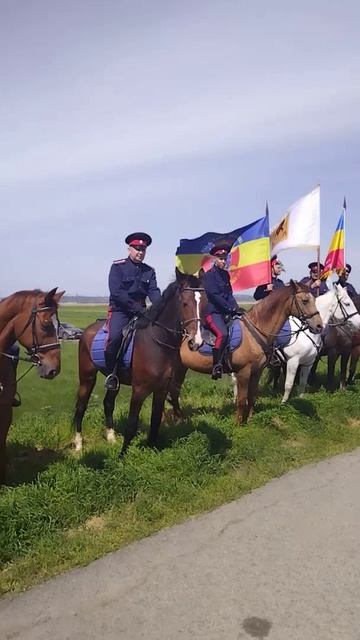 Шермиции. Казаки Дон Батюшка