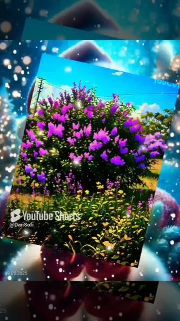 VID_20250509184659