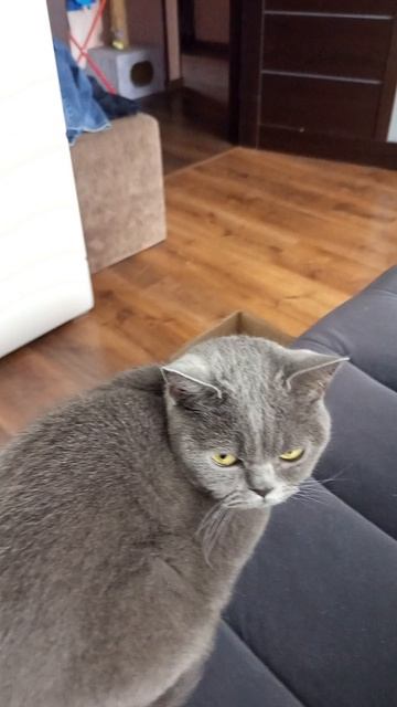 с днём рождения