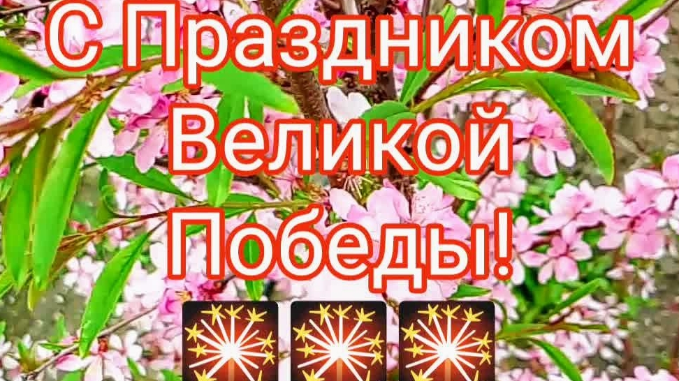 Моему Деду, спасибо за Победу! Я вам спою, пусть не БИС! Кринж для ВАС?! Ну и пусть!!!