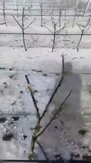 Последствия градового шторма в Терском районе Кабардино-Балкарской Республики.