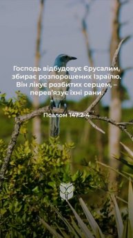 Він лікує розбитих серцем, – перев’язує їхні рани... П?