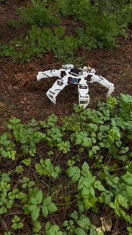 Гексапод CRAZYBOTS проходит тесты на бездорожье